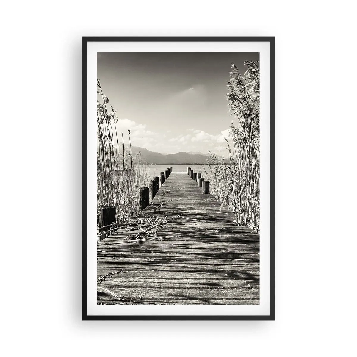 Plakat w czarnej ramie - W zaciszu traw - 61x91 cm