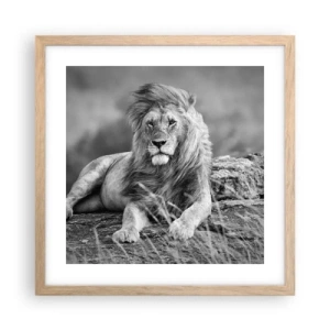 Plakat w ramie jasny dąb - Królewska sjesta - 40x40 cm