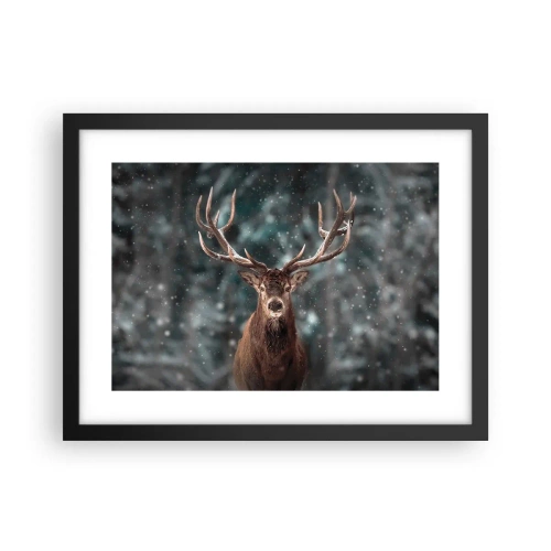 Plakat w czarnej ramie - Król lasu ukoronowany - 40x30 cm