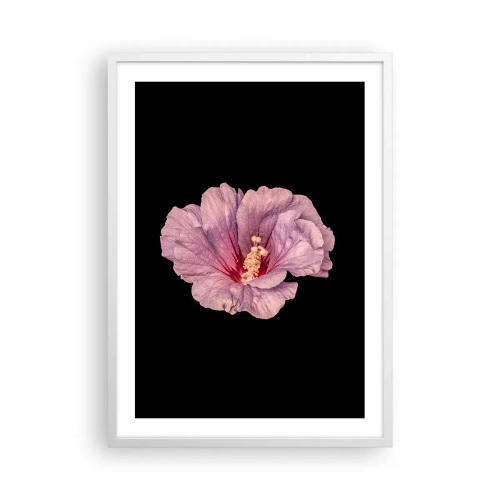 Plakat w białej ramie - Prosto do serca - 50x70 cm