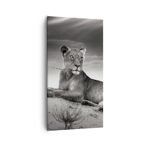 Obraz na płótnie - Odpoczynek królowej pustyni - 55x100 cm