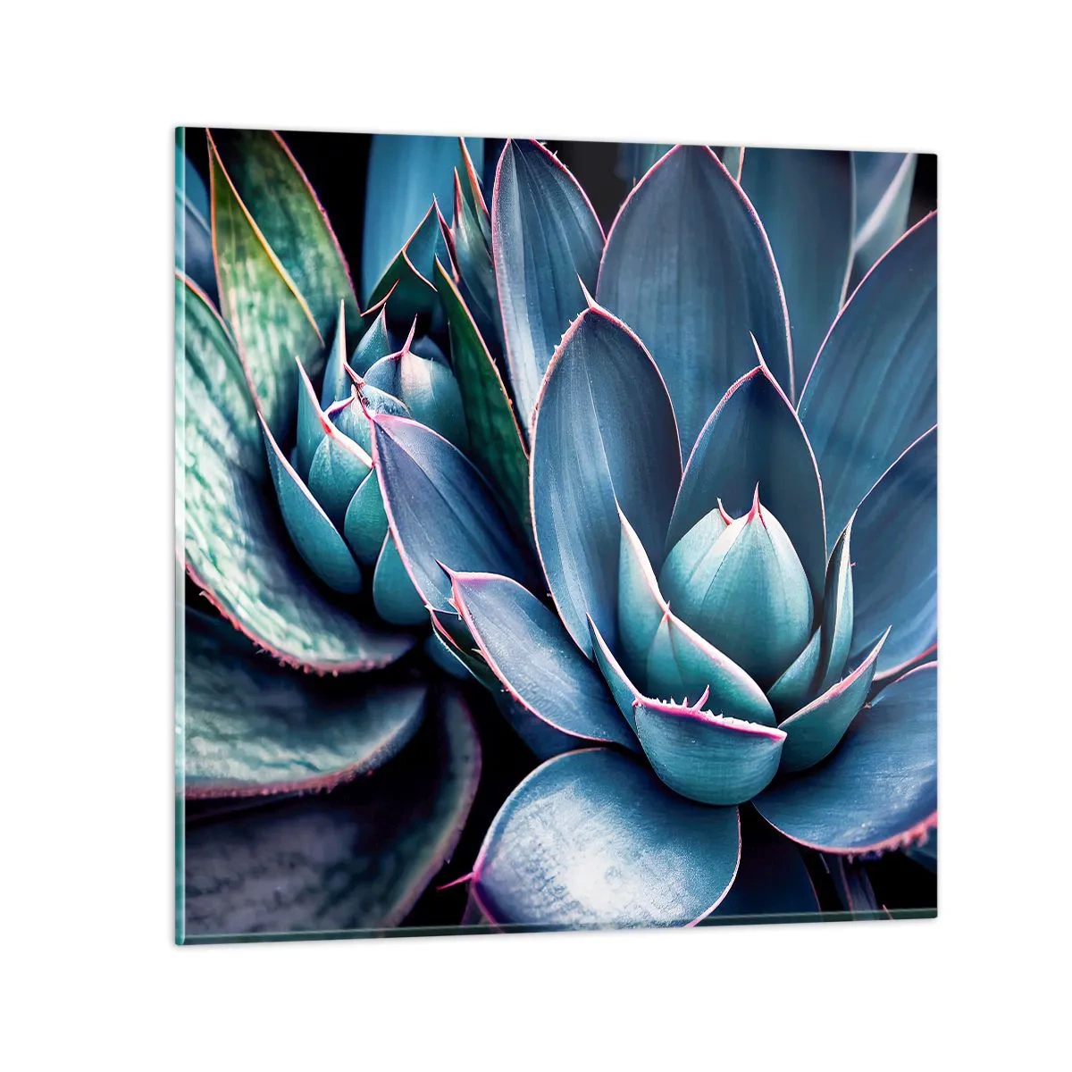 Obraz na szkle - Witalna siła - 60x60 cm