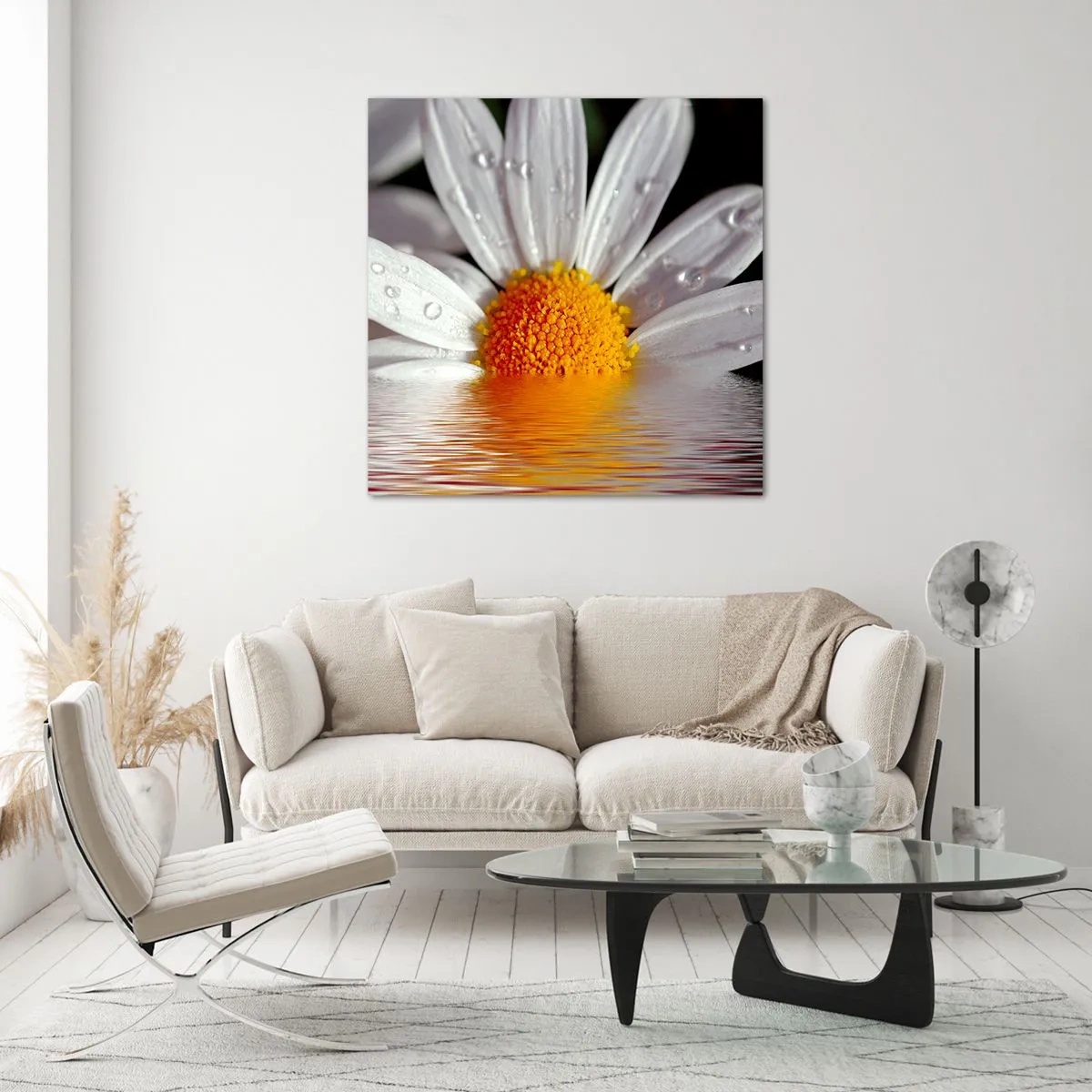 Obraz na szkle - Wschodzące słońce margaretki - 50x50 cm