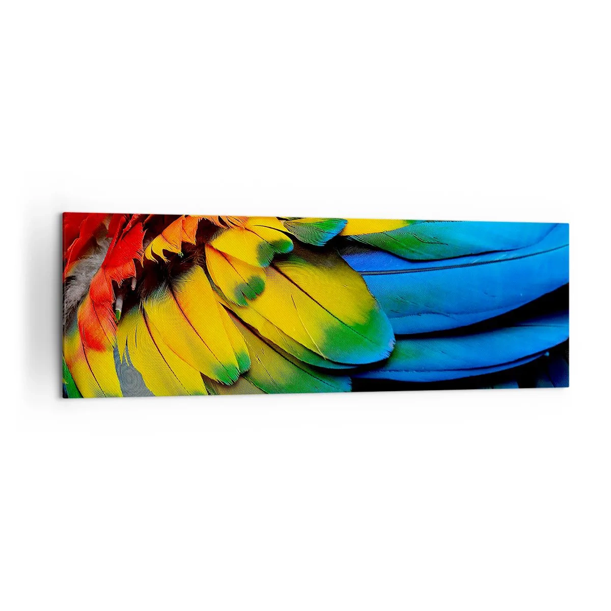Obraz na płótnie - Kolorowe pióra papugi w zbliżeniu - 160x50cm - Rajski ptak - Nowoczesna dekoracja ścienna do salonu i sypialni ARTTOR