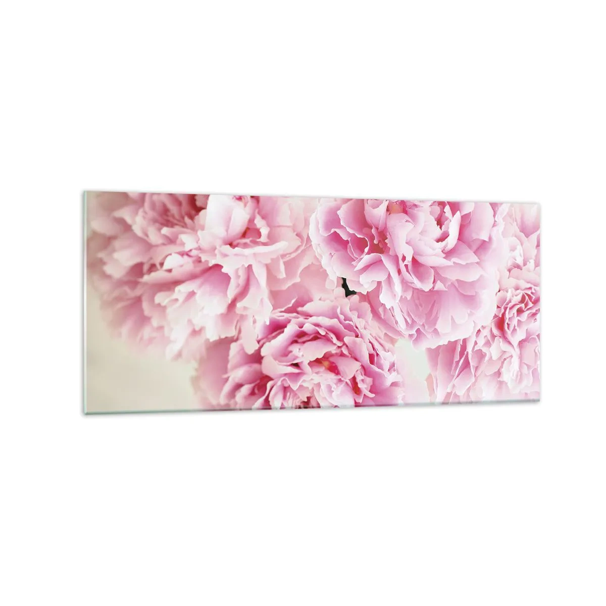 Obraz na szkle - Bukiet różowych piwonii na jasnym tle - 120x50cm - W różowym przepychu - Nowoczesna dekoracja ścienna do salonu i sypialni ARTTOR