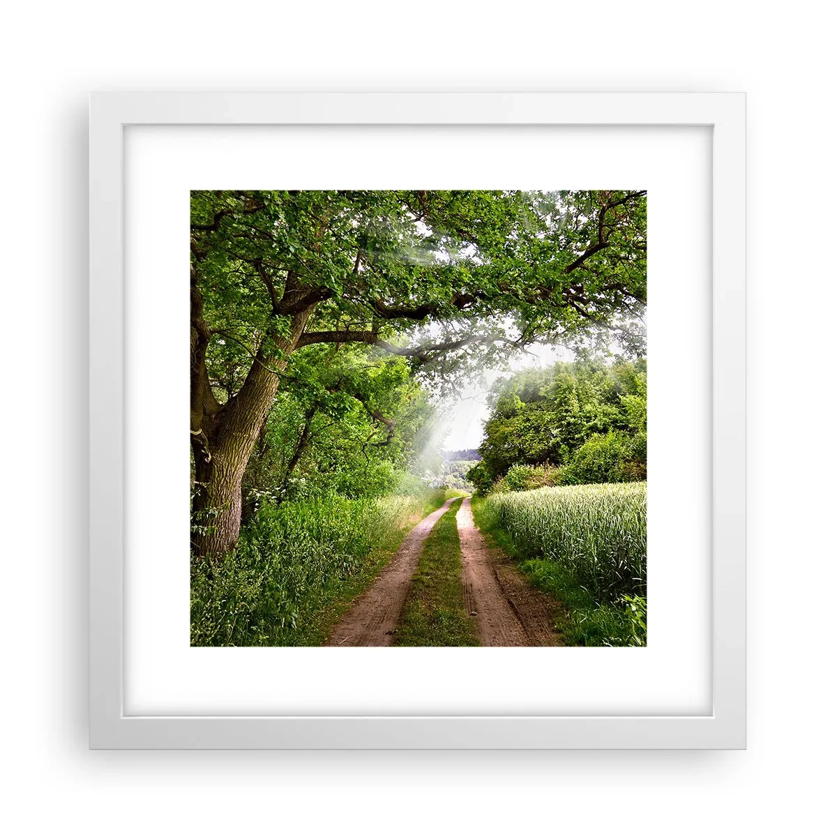 Plakat w białej ramie - Et in Arcadia ego - 30x30 cm