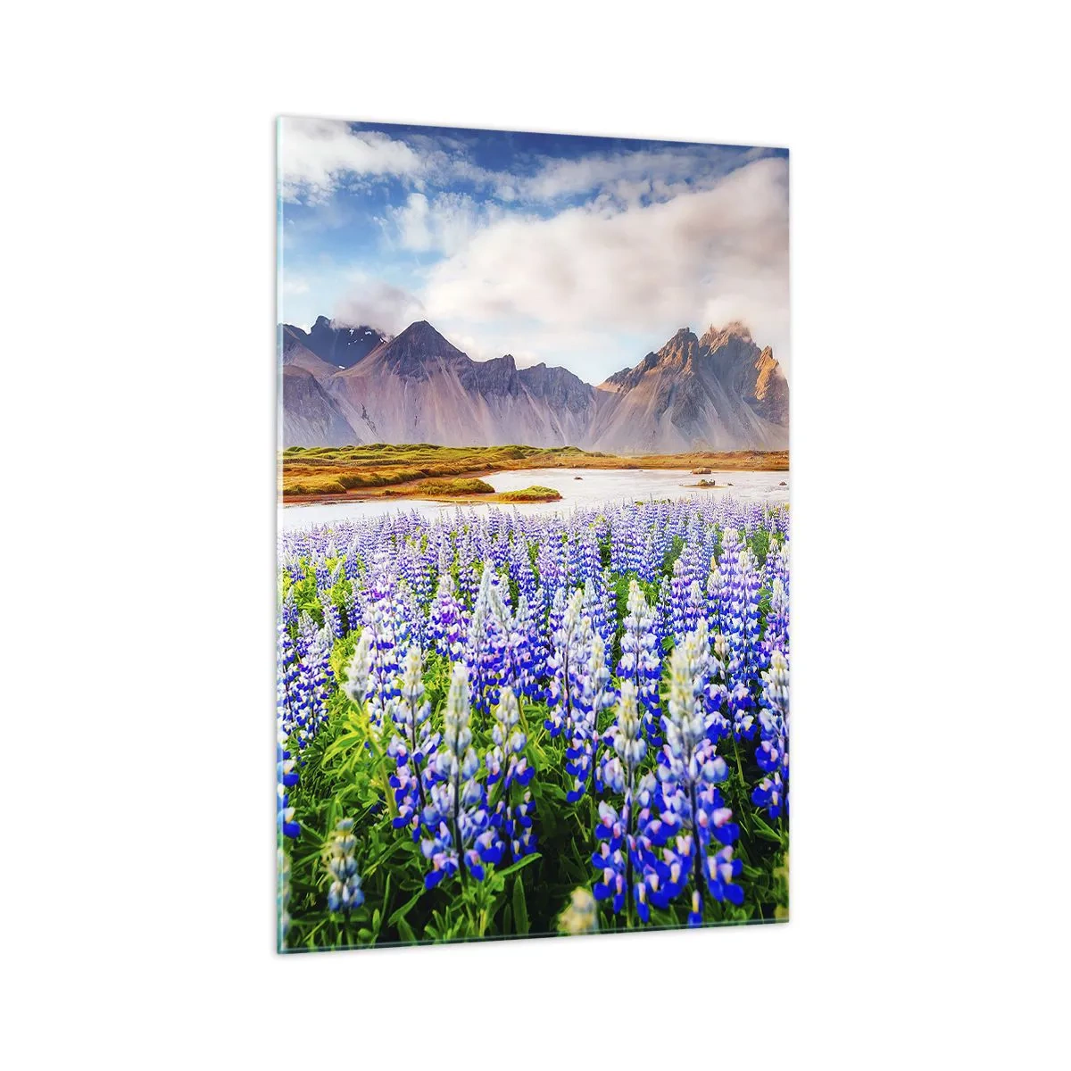 Obraz na szkle - Kwiaty w górskim krajobrazie z malowniczym niebem - 70x100cm - Siła i surowość obok łagodności - Nowoczesna dekoracja ścienna do salonu i sypialni ARTTOR