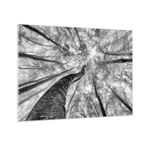 Obraz na szkle - Czarno-białe drzewa sfotografowane od dołu w kierunku nieba - 70x50cm - Wyścig do światła - Nowoczesna dekoracja ścienna do salonu i sypialni ARTTOR