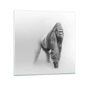 Obraz na szkle - Pewny swej siły - 50x50 cm