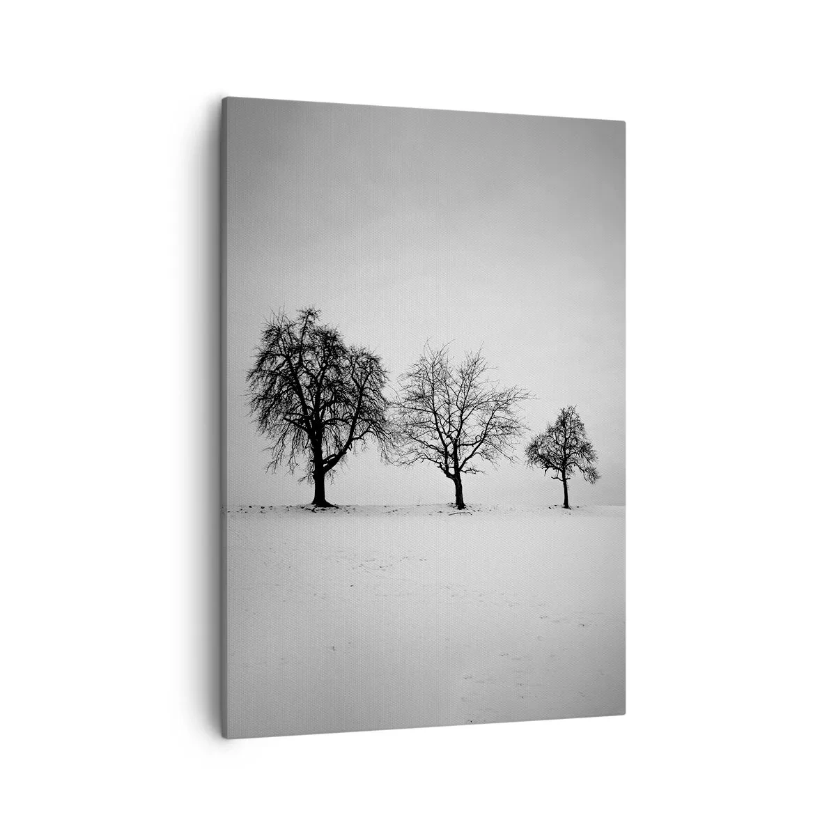 Obraz na płótnie - Trzy samotne drzewa na zaśnieżonym polu w czarno-białej tonacji - 50x70cm - O czym śnią? - Nowoczesna dekoracja ścienna do salonu, kuchni i sypialni ARTTOR