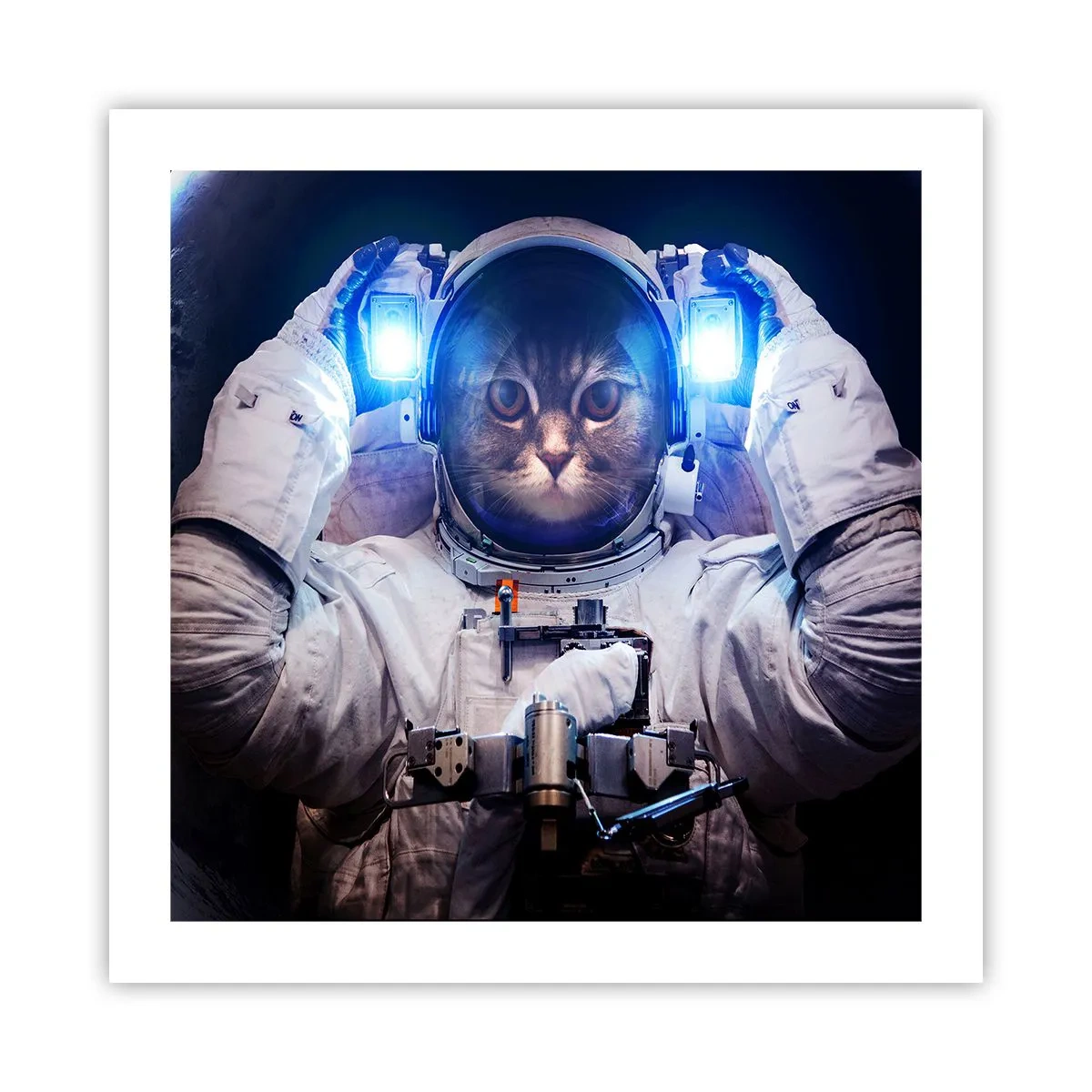 Plakat - Houston, macie problem - 50x50 cm