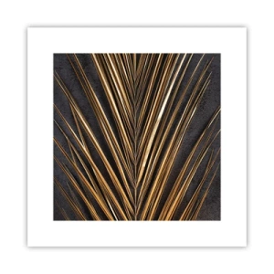 Plakat - Złoto tropików - 30x30 cm