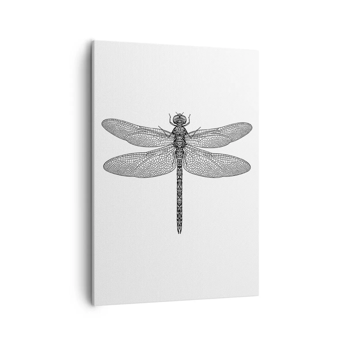 Obraz na płótnie - Precyzyjna ilustracja ważki w stylu vintage - 50x70cm - Precyzja natury - Nowoczesna dekoracja ścienna do salonu, kuchni i sypialni ARTTOR