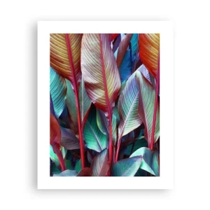 Plakat - Kolorowy gąszcz - 40x50 cm