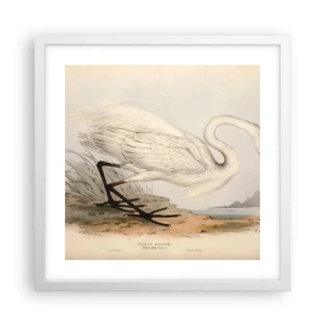Plakat w białej ramie - Pani na szuwarach - 40x40 cm