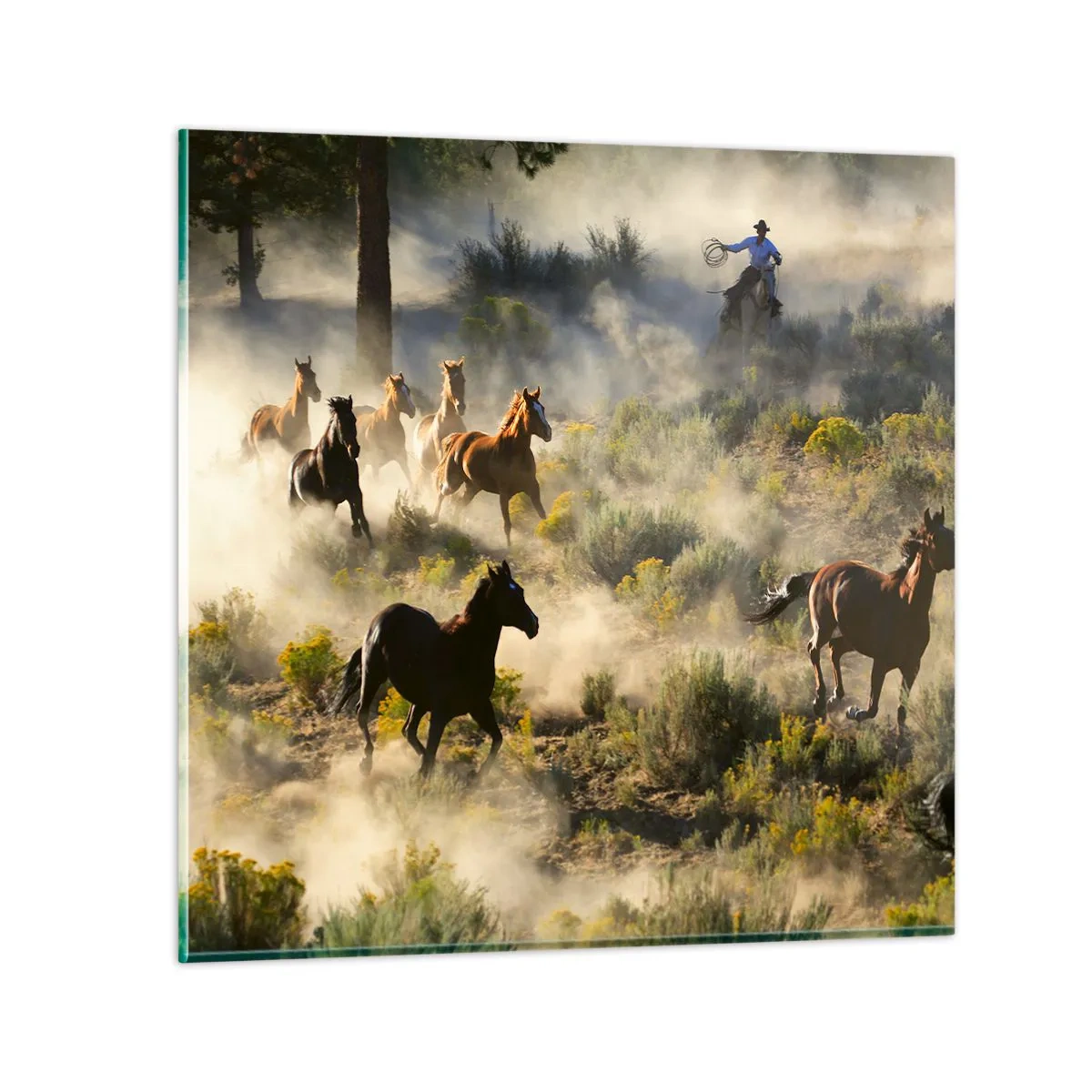 Obraz na szkle - Rywalizacja - wolność czy męska siła? - 60x60 cm