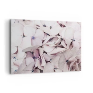 Obraz na płótnie - Delikatne białe hortensje w pastelowej tonacji - 100x70cm - W powodzi kwiatów - Nowoczesna dekoracja ścienna do salonu, kuchni i sypialni ARTTOR