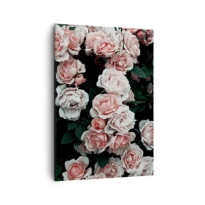 Obraz na płótnie - Bukiet różowych róż w pełnym rozkwicie na ciemnym tle - 50x70cm - Różany ansamble - Nowoczesna dekoracja ścienna do salonu, kuchni i sypialni ARTTOR
