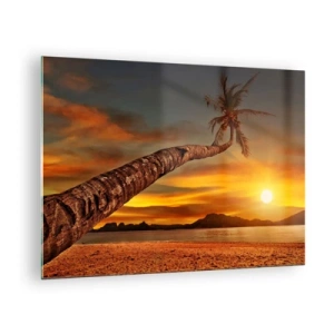 Obraz na szkle - Palma na tropikalnej plaży o zachodzie słońca - 70x50cm - Egzotyczne wakacje, karaibska przygoda - Nowoczesna dekoracja ścienna do salonu i sypialni ARTTOR