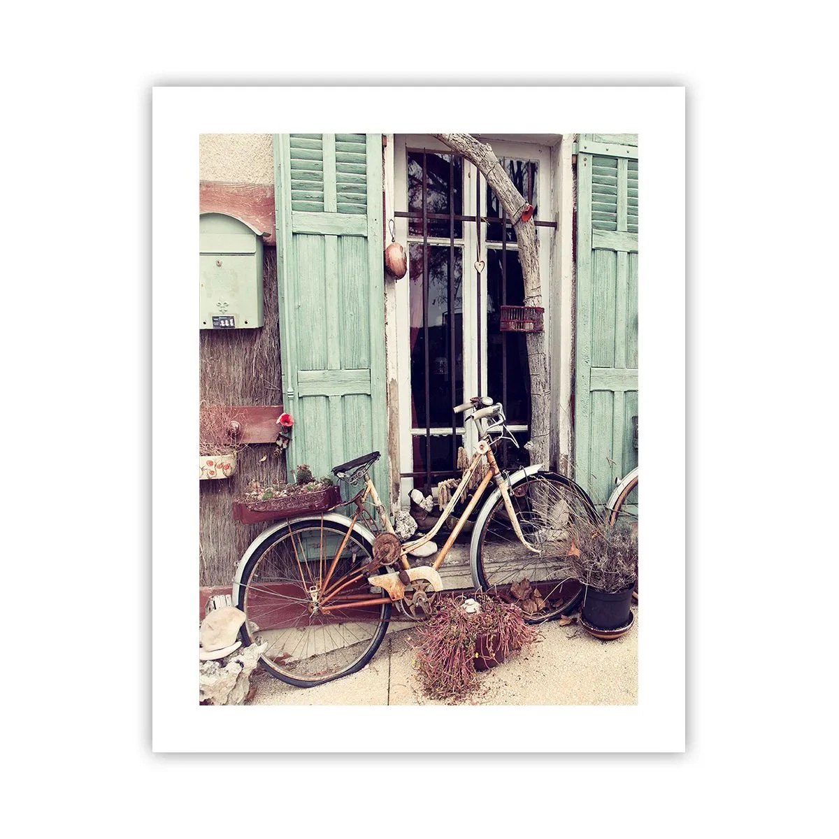 Plakat - Niech żyje prowincja - 40x50 cm