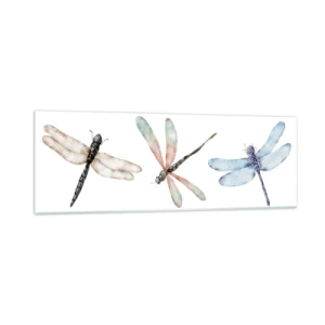 Obraz na szkle - Ważki nieważkie - 90x30 cm