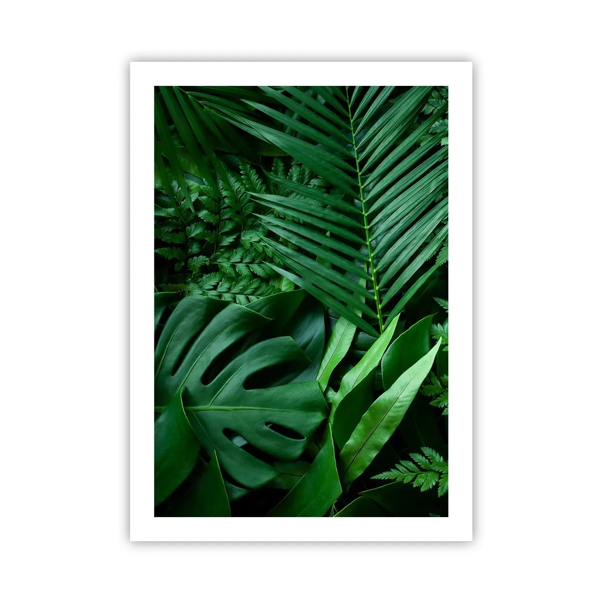 Plakat - Zielone liście paproci i palmy tworzące tropikalny wzór - 50x70cm - Utulone w zieleni - Nowoczesna dekoracja ścienna do salonu, kuchni i sypialni ARTTOR
