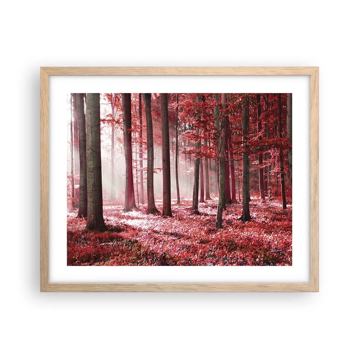 Plakat w ramie jasny dąb - Czerwony równie piękny - 50x40 cm