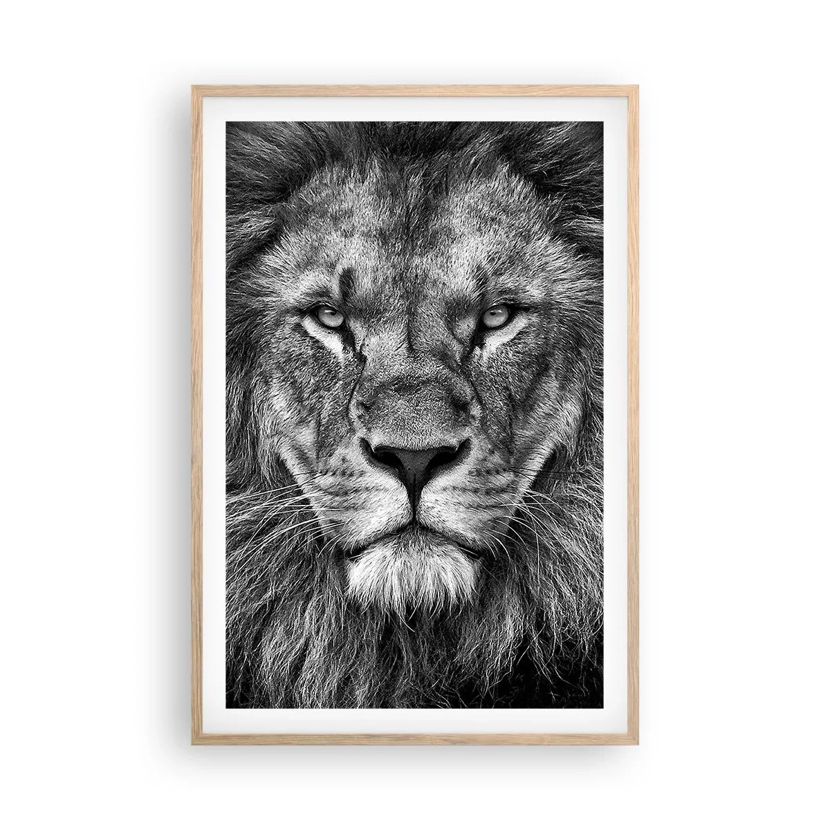 Plakat w ramie jasny dąb - W stroju koronacyjnym - 61x91 cm