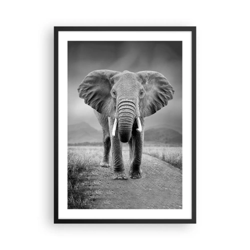 Plakat w czarnej ramie - Słoń na tle afrykańskiego krajobrazu w czerni i bieli - 50x70cm - Gospodarz wita - Nowoczesna dekoracja ścienna do salonu i sypialni ARTTOR
