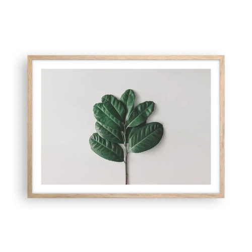 Plakat w ramie jasny dąb - Rysunek samej natury - 70x50 cm