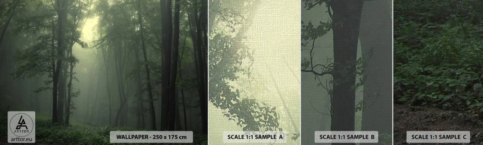 Fototapeta Próbka Premium Canvas - Zanim się obudzi - Krajobraz, Las, Natura - 100x30 cm