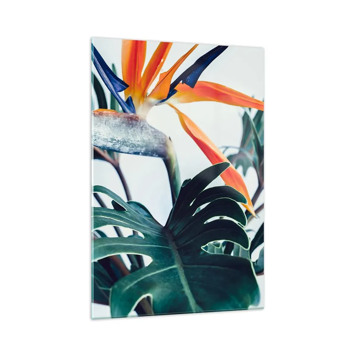 Obraz na szkle - Kwiat strelicji w otoczeniu liści w jasnym świetle - 70x100cm - Ptakokrzak - Nowoczesna dekoracja ścienna do salonu i sypialni ARTTOR