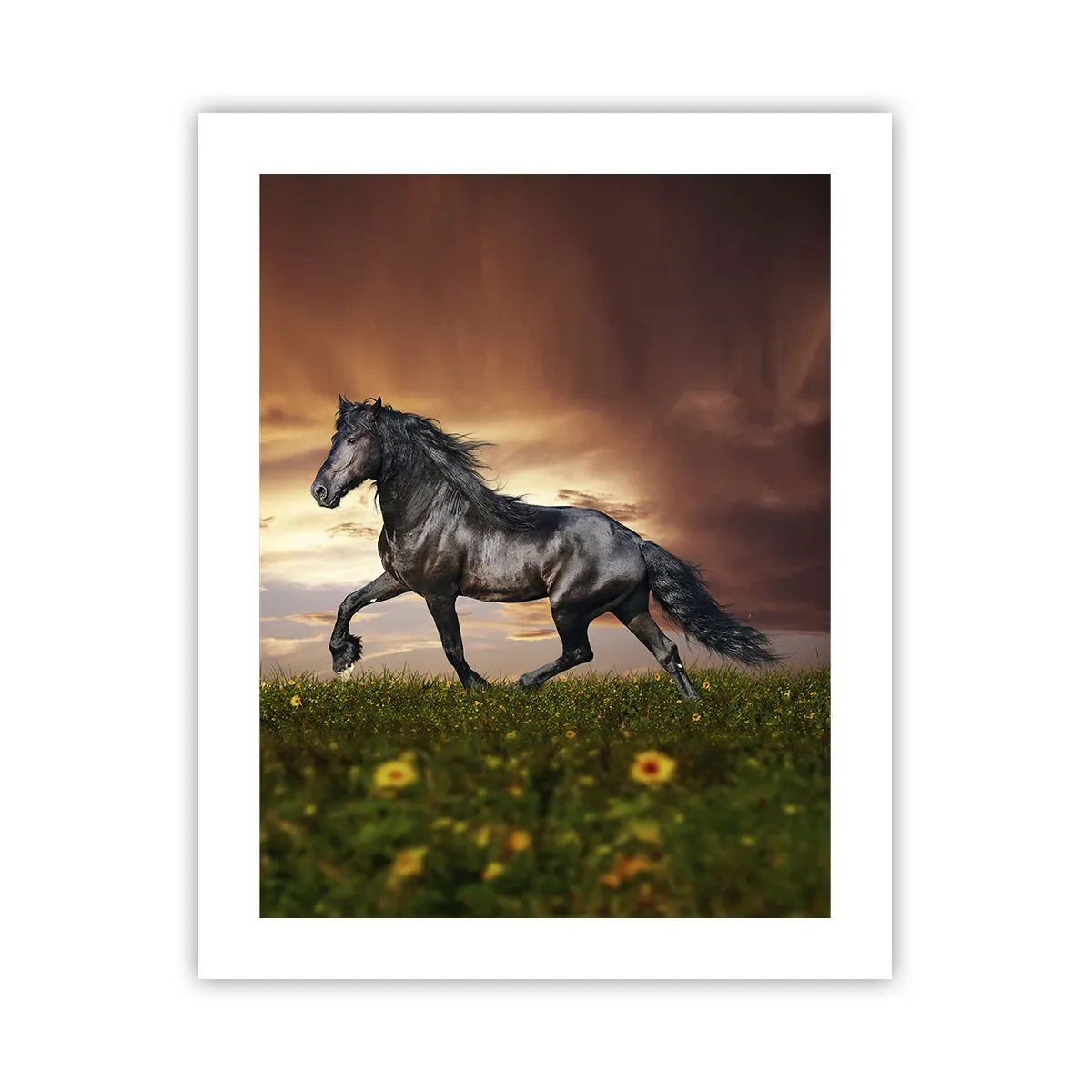 Plakat - Czarny książę - 40x50 cm