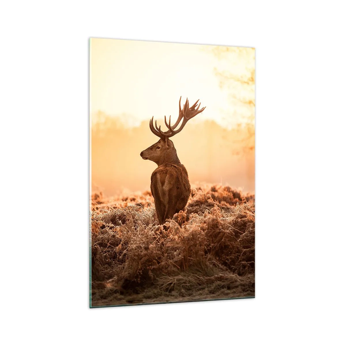 Obraz na szkle - Jeleń w promieniach wschodzącego słońca - 70x100cm - Pan na włościach - Nowoczesna dekoracja ścienna do salonu i sypialni ARTTOR
