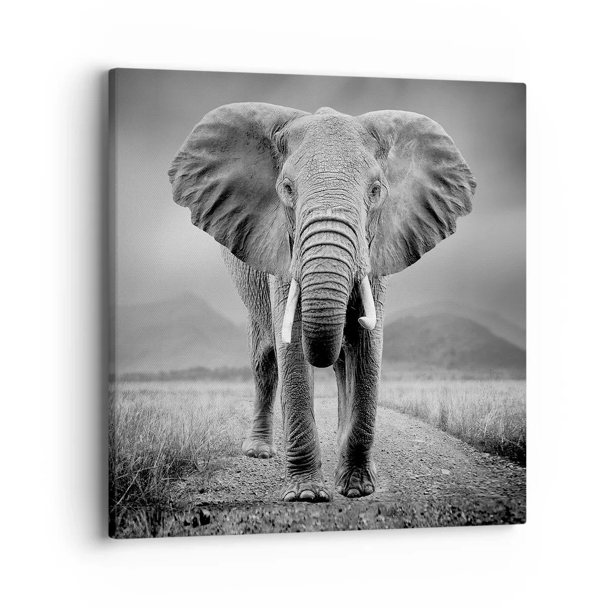 Obraz na płótnie - Gospodarz wita - 40x40 cm