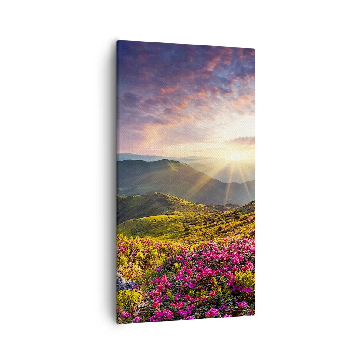 Obraz na płótnie - Świeżość górskiego poranka - 55x100 cm