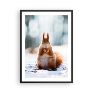 Plakat w czarnej ramie - Wiewiórka na śniegu w zimowym lesie - 50x70cm - I co tak patrzysz? - Nowoczesna dekoracja ścienna do salonu i sypialni ARTTOR