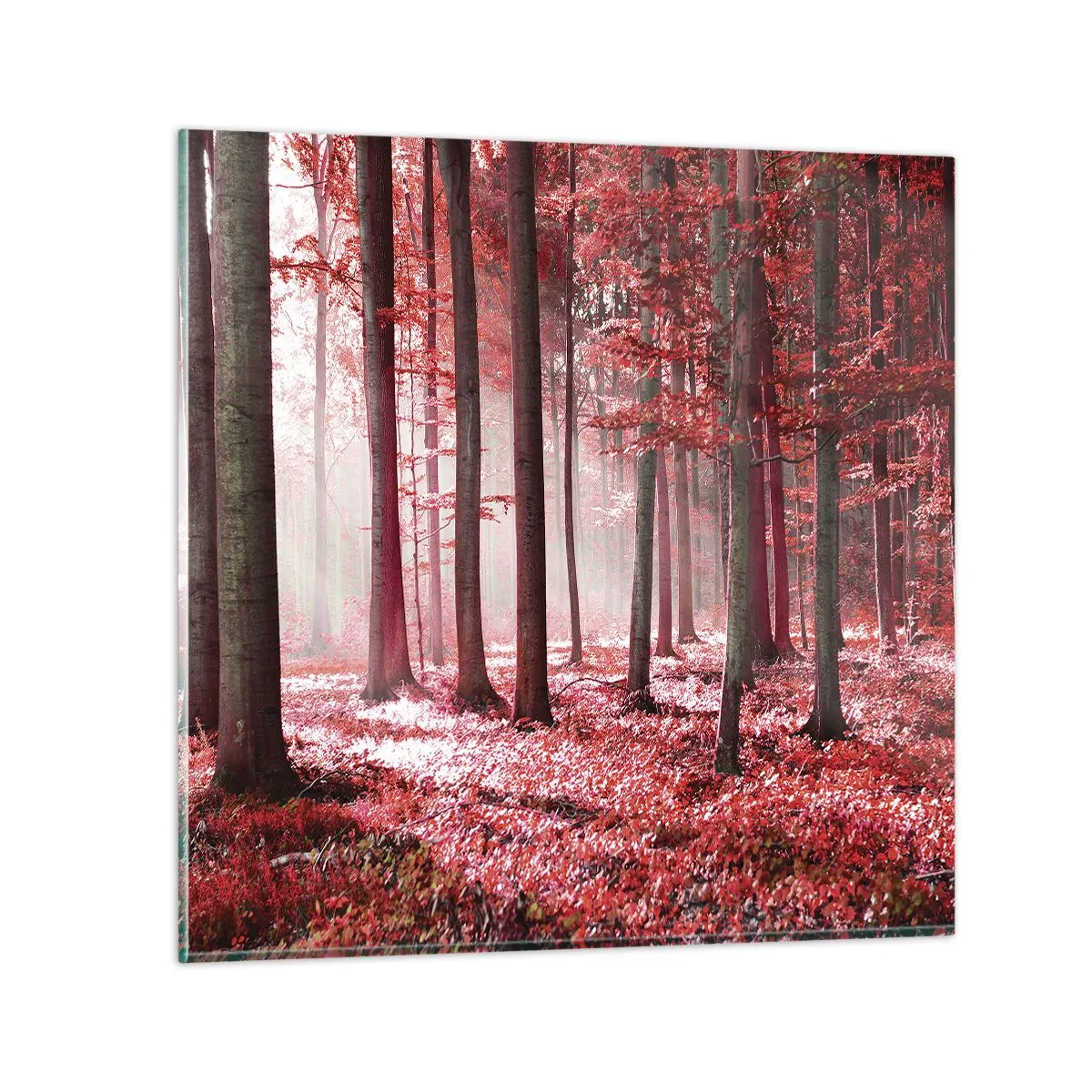 Obraz na szkle - Czerwony równie piękny - 70x70 cm