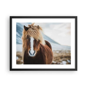 Plakat w czarnej ramie - Czujesz wolność? - 50x40 cm