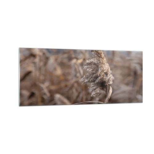 Obraz na szkle - Czas odlecieć z wiatrem - 100x40 cm