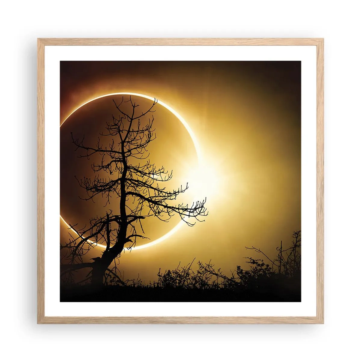 Plakat w ramie jasny dąb - Całkowite zaćmienie - 60x60 cm