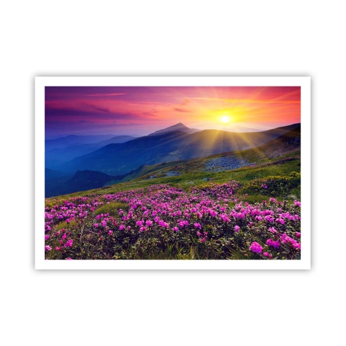 Plakat - Kwitnąca łąka z widokiem na góry podczas zachodu słońca - 100x70cm - … A dokoła pachnie kosodrzewina i wonieją zioła - Nowoczesna dekoracja ścienna do salonu i sypialni ARTTOR
