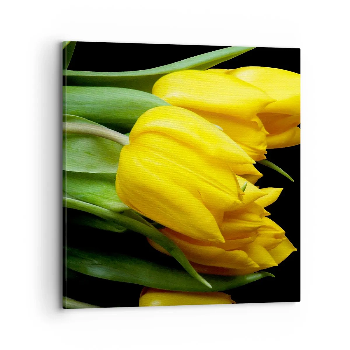 Obraz na płótnie - Powstały z czystego słońca - 70x70 cm