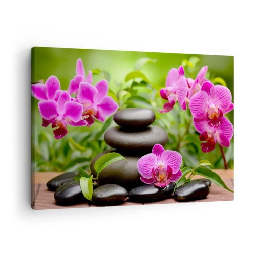 Obraz na płótnie - Różowe orchidee z kamieniami na tle zieleni - 70x50cm - Piramida spokoju - Nowoczesna dekoracja ścienna do salonu i sypialni ARTTOR
