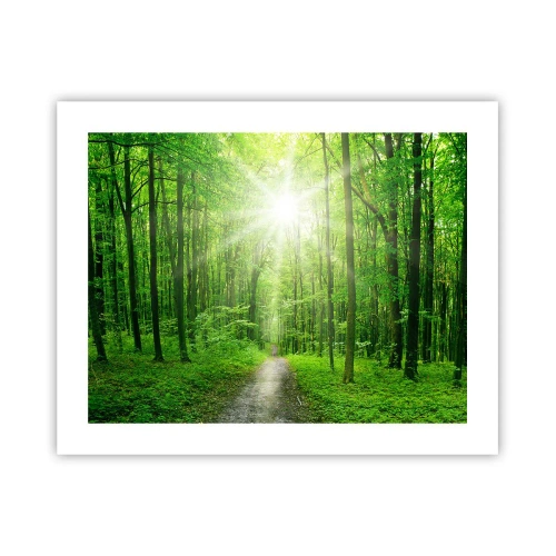 Plakat - Zielona katedra - 50x40 cm