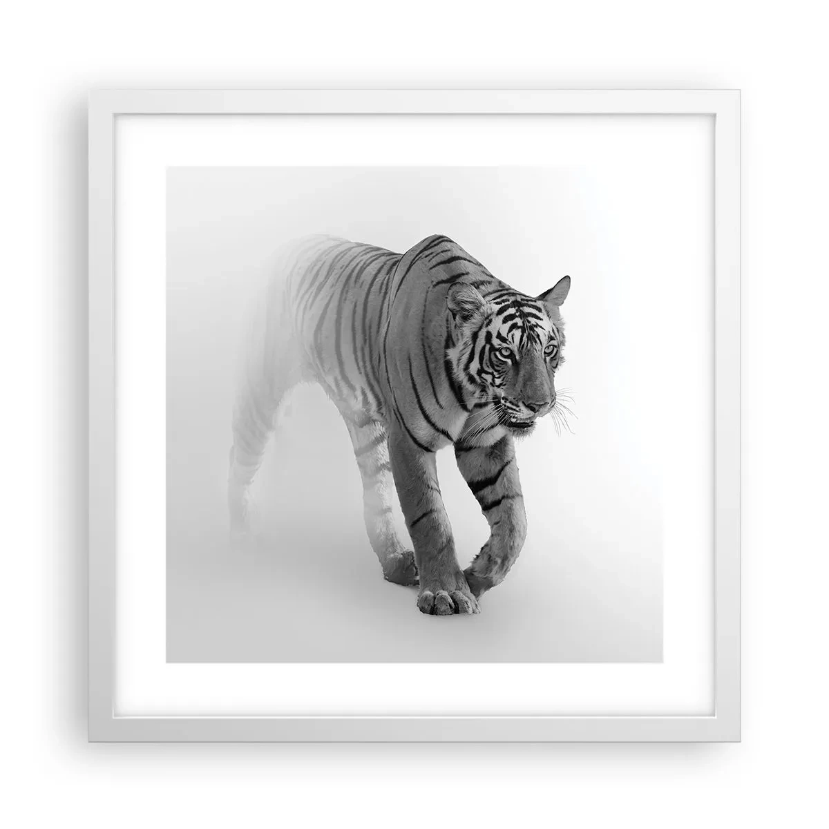 Plakat w białej ramie - Przyczajony we mgle - 40x40 cm