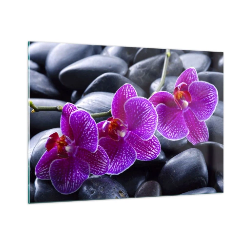 Obraz na szkle - Fioletowe orchidee na tle gładkich kamieni - 100x70cm - Kamienie pojaśniały z zachwytu - Nowoczesna dekoracja ścienna do salonu, kuchni i sypialni ARTTOR