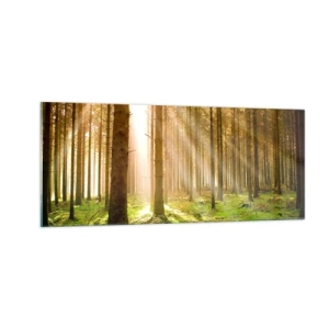 Obraz na szkle - Zaraz pojawią się elfy - 100x40 cm