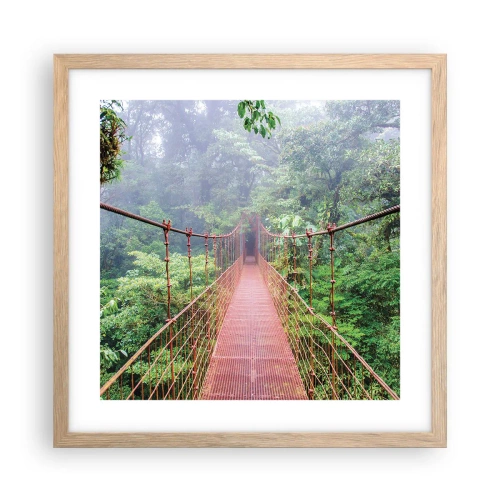 Plakat w ramie jasny dąb - Zawieszony nad koronami - 40x40 cm
