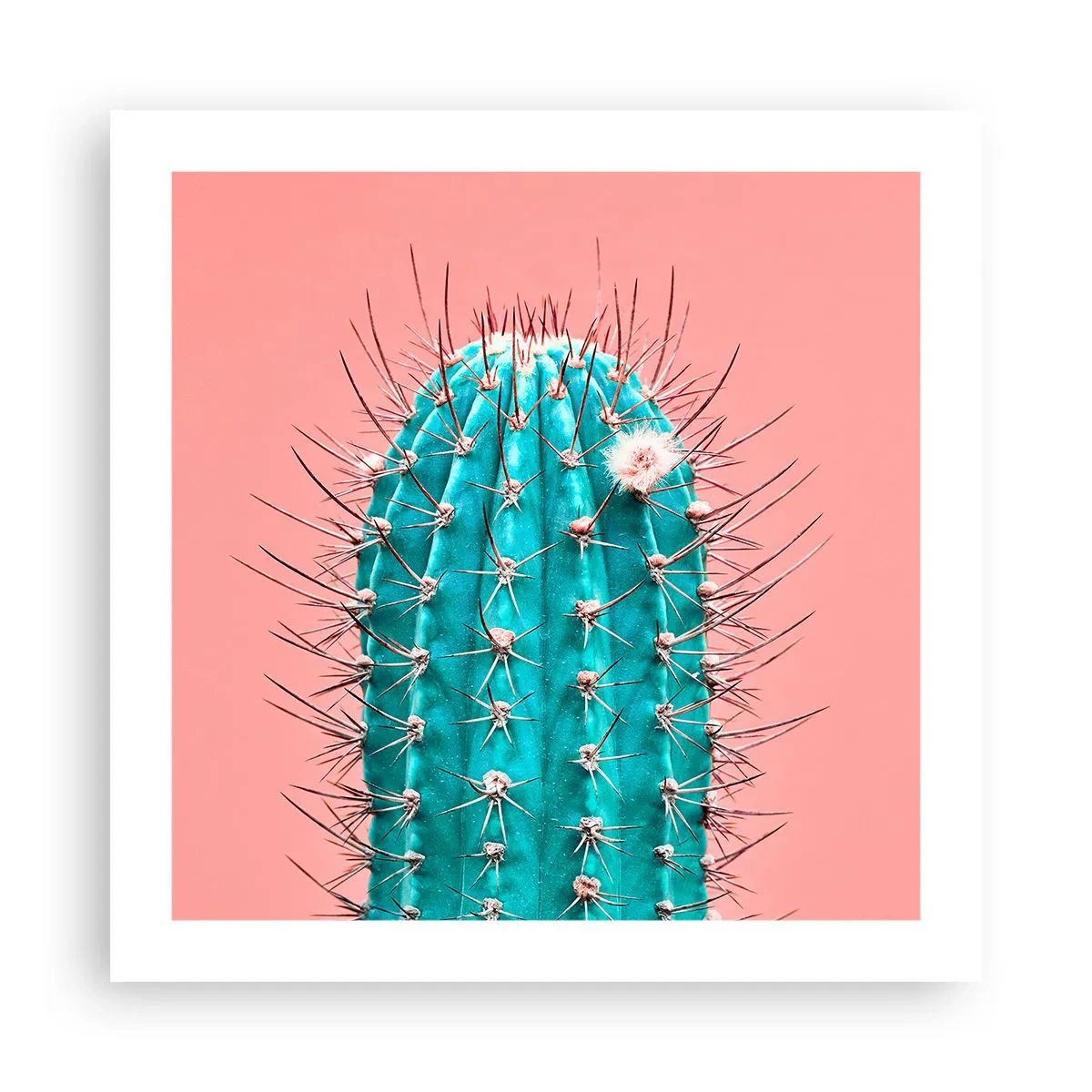 Plakat - Tylko patrz - 50x50 cm